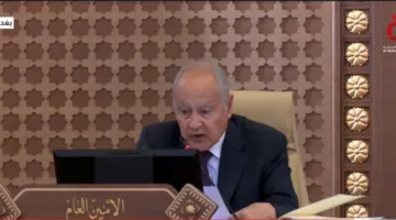 فلسطين تواجه حرب إبادة مؤلمة.. ما الذي ذكره أبو الغيط خلال اجتماع وزراء الخارجية العرب؟