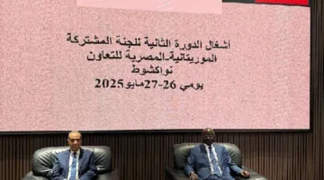 وزير الخارجية يقود الوفد المصري في اجتماعات اللجنة المشتركة بين مصر وموريتانيا في نواكشوط