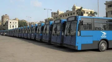 هيئة النقل العام في القاهرة: إدخال أحدث المركبات لتوفير خدمة متميزة خلال عيد الأضحى