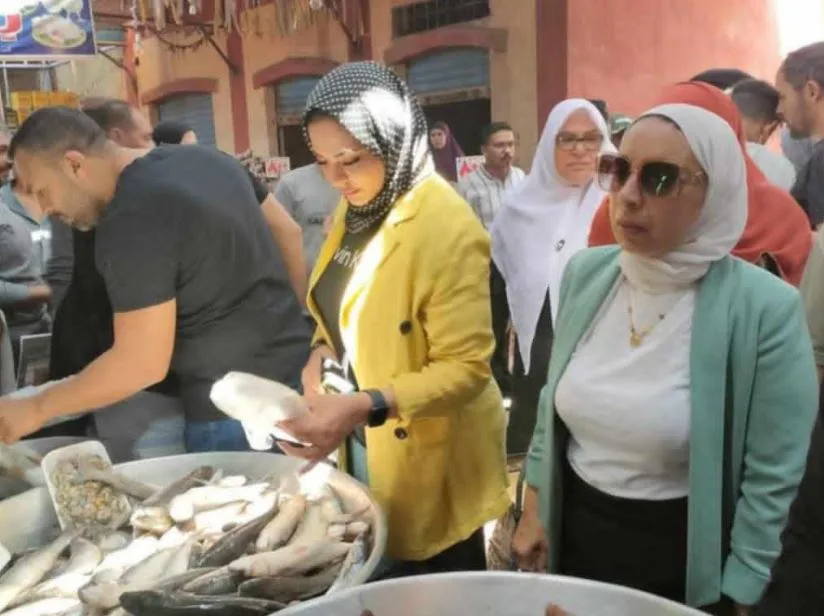 ضبط طن لحوم غير مطابقة للمواصفات.. وتحرير 30 مخالفة خلال حملة بالإسماعيلية