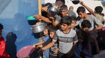 غزة: 326 وفاة نتيجة الجوع ونقص الأدوية و300 حالة إجهاض خلال 80 يومًا من الحصار