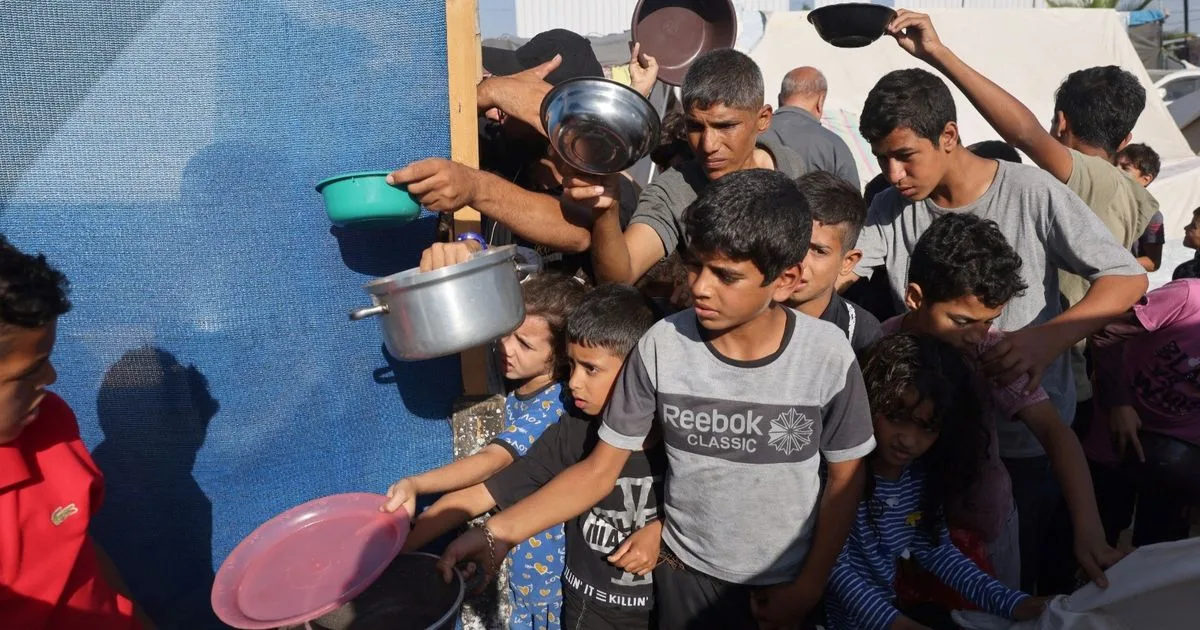 غزة: 326 وفاة نتيجة الجوع ونقص الأدوية و300 حالة إجهاض خلال 80 يومًا من الحصار غزة: 326 وفاة نتيجة الجوع ونقص الأدوية و300 حالة إجهاض خلال 80 يومًا من الحصار