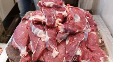 مجلس الوزراء: يجب أن تكون اللحوم المستوردة حاصلة على شهادة حلال.