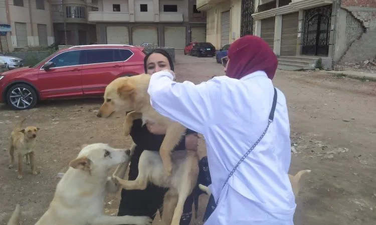 "الزراعة" تكثف جهود رصد الأمراض الوبائية الحيوانية