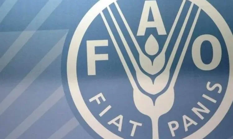 "الفاو" تحذر من تفشي مرض الحمى القلاعية في أوروبا والشرق الأوسط