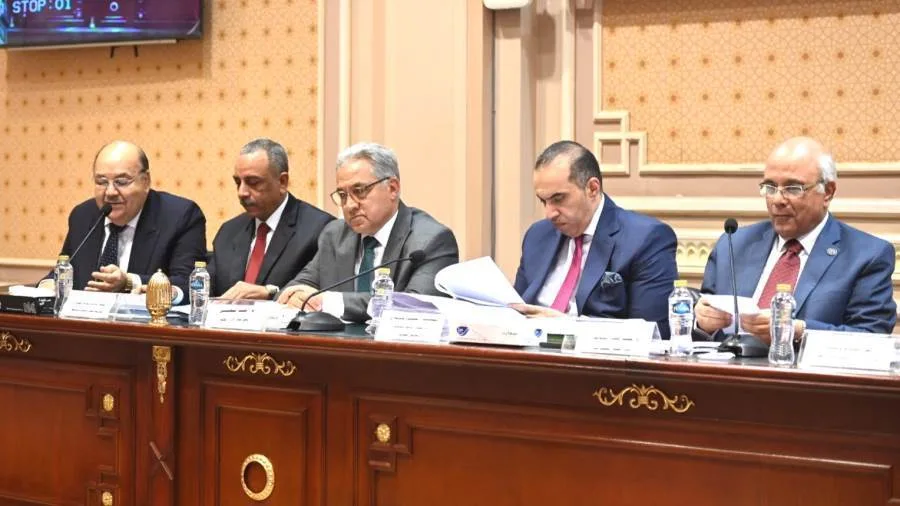 "عيد هيكل": الدستورية تصدت لمسألة الأجرة فقط ومجلس النواب يملك النظر في المشاكل الأخرى المتعلقة بالايجارات القديمة