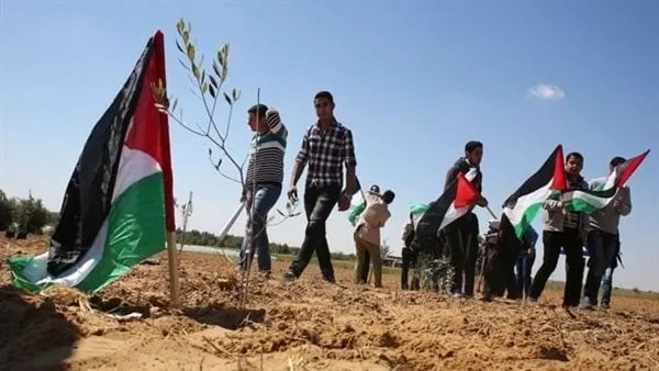 "غزة في القلب".. كيف جسّد التحالف الوطني التضامن المصري مع الشعب الفلسطيني؟