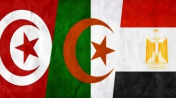 وزراء خارجية مصر وتونس والجزائر يتناولون تطورات الوضع في ليبيا غدًا في القاهرة