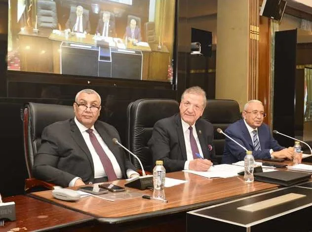 خلال جلسات مناقشة ميزانية الوزارة: وكيل خطة النواب يطمئن بعدم حدوث انقطاع كهرباء هذا الصيف. خلال جلسات مناقشة ميزانية الوزارة: وكيل خطة النواب يطمئن بعدم حدوث انقطاع كهرباء هذا الصيف.
