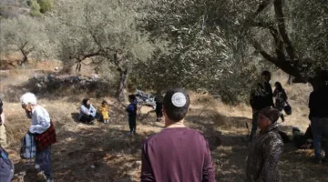 مستوطنون يعتدون على مزارعين فلسطينيين في منطقة نابلس