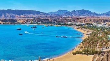 نقابة الموسيقيين تتخذ قرارًا حول تشغيل القاصرين في المنشآت السياحية