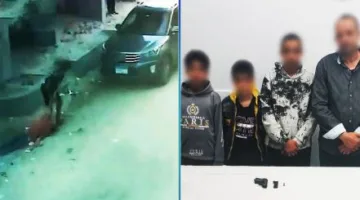 الداخلية تكشف ملابسات تداول فيديو يتضمن اعتداء 3 أطفال على آخر بكفر الشيخ