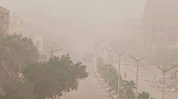 آخر أخبار الوادي الجديد| رفع درجة الاستعداد لمواجهة العاصفة الترابية.. وتوجيهات بدعم الاستثمار الجاد