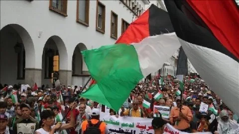 آلاف المغاربة يتظاهرون تضامناً مع غزة آلاف المغاربة يتظاهرون تضامناً مع غزة