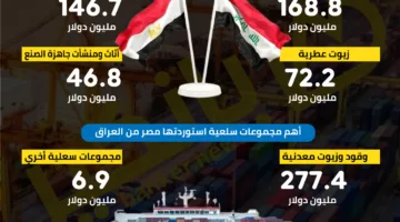 أبرز السلع التي قامت مصر بتصديرها إلى العراق في عام 2024