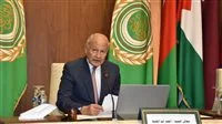 أبو الغيط: القمة العربية القادمة تعكس مرحلة تاريخية هامة | فيديو