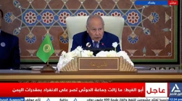 أبو الغيط: المنطقة العربية عرضة للتدخل، وبعض دولنا مهددة بالبقاء