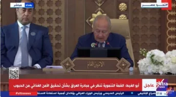 أبو الغيط: قمة بغداد تعكس روح الانفتاح وسط تحديات الاقتصاد العالمي
