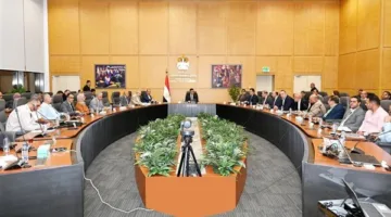 أحدث المستجدات حول مشروع “التجلي الأعظم” في سيناء