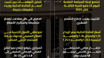 أحدث توقعات أسعار الفائدة في الاجتماع الثالث للبنك المركزي المصري لعام 2025 | إنفوجراف