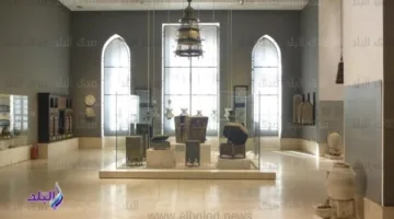 أخبار المتاحف| وفد تايلاندي يزور اليوناني الروماني.. والإسلامي يدعم ذوي طيف التوحد