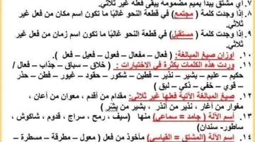 أساليب النجاح: ورقتان في النحو لامتحان الصف الثالث الإعدادي لن يخرج عنهما
