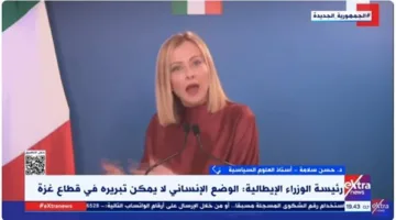 أستاذ في العلوم السياسية: المجتمع الدولي غير قادر على إجبار إسرائيل على إنهاء معاناة غزة