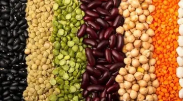 أسعار legumes في محافظة الغربية اليوم السبت 24 مايو 2025