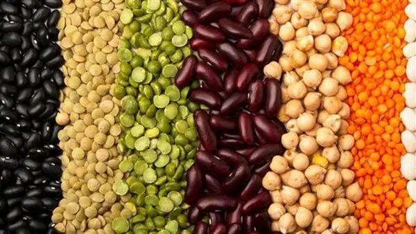 أسعار legumes في محافظة الغربية اليوم السبت 24 مايو 2025 أسعار legumes في محافظة الغربية اليوم السبت 24 مايو 2025