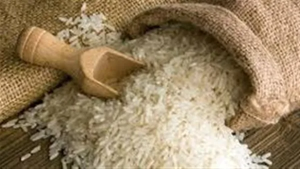 أسعار الأرز والدقيق في محافظة الغربية اليوم أسعار الأرز والدقيق في محافظة الغربية اليوم