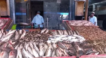 أسعار الأسماك اليوم الأحد 11 مايو 2025 في سوق العبور