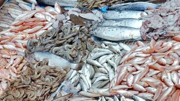 أسعار الأسماك والمأكولات البحرية بأسواق الإسكندرية اليوم الأربعاء