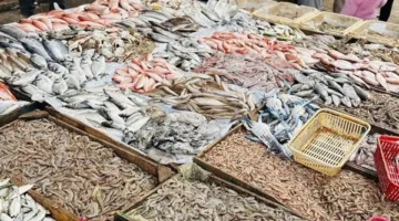 أسعار الأسماك والمأكولات البحرية في الدقهلية اليوم الأربعاء 7 مايو