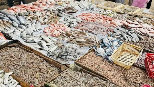 أسعار الأسماك والمأكولات البحرية في الدقهلية اليوم الأربعاء 7 مايو