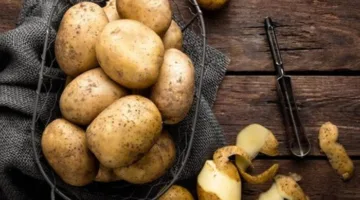 أسعار البطاطس اليوم الأربعاء في سوق العبور.. الكيلو بكام النهارده؟