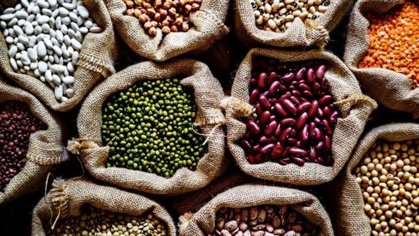 أسعار البقوليات بالغربية اليوم الأربعاء 7 مايو 2025