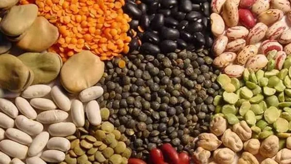 أسعار البقوليات بالغربية اليوم السبت 10 مايو 2025