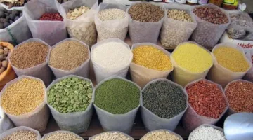 أسعار legumes في محافظة الغربية اليوم الثلاثاء 27 مايو 2025