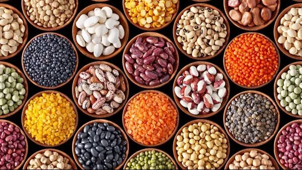 أسعار الحبوب والخضروات في محافظة الغربية اليوم، الأربعاء 21 مايو 2025 أسعار الحبوب والخضروات في محافظة الغربية اليوم، الأربعاء 21 مايو 2025