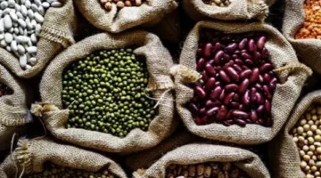 أسعار الحبوب والمواد التوابل اليوم الأحد 18 مايو 2025 في المنيا