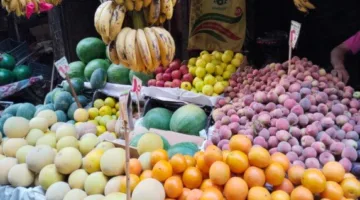 أسعار الخضار والفواكه تثير الفوضى في الأسواق.. توقعات بانخفاض يصل إلى 50%
