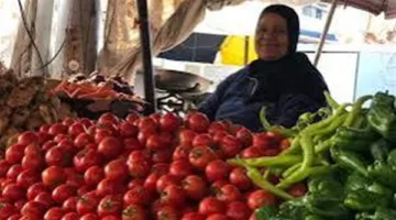 أسعار الخضراوات والفواكه في كفر الشيخ يوم الثلاثاء 27 مايو: الليمون بـ60 جنيها.