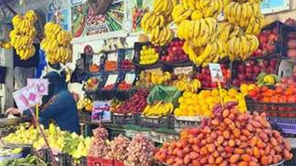 أسعار الخضراوات والفواكه في محافظة الغربية اليوم الثلاثاء 27 مايو 2025 أسعار الخضراوات والفواكه في محافظة الغربية اليوم الثلاثاء 27 مايو 2025