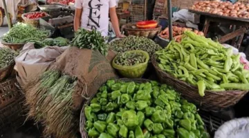 أسعار الخضروات الورقية والأعشاب العطرية في سوق العبور يوم الجمعة 16 مايو 2025