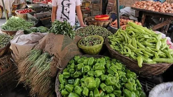 أسعار الخضروات الورقية والأعشاب العطرية في سوق العبور يوم الجمعة 16 مايو 2025 أسعار الخضروات الورقية والأعشاب العطرية في سوق العبور يوم الجمعة 16 مايو 2025
