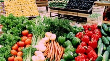 أسعار الخضروات والفاكهة بأسواق الوادي الجديد اليوم