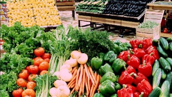 أسعار الخضروات في قنا اليوم الإثنين