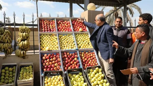 أسعار الخضروات والفاكهة اليوم الأحد 11 مايو 2025 في المنيا