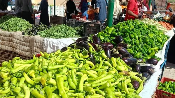 أسعار الخضروات والفاكهة في الوادي الجديد اليوم الأربعاء 7 مايو