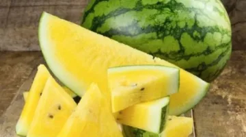 أسعار الخضروات والفواكه اليوم في أسوان: البطيخ المنجاوي يتراوح بين 50 و70 جنيهًا